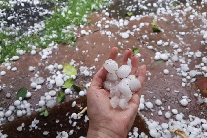 मुख्यमंत्री धामी की घोषणा, ओलावृष्टि से प्रभावित किसानों को मिलेगी अतिरिक्त राहत