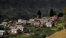 चौंकाने वाला खुलासा : पहाड़ की ये हकीकत हर उत्तराखंडी जान ले, इससे तो उत्तर प्रदेश में ही बने रहना अच्छा था