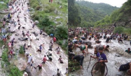 उत्तराखंड : मछली पकड़ने नदी में कूद पड़े हजारों लोग, किया एक विशेष पावडर का इस्तेमाल
