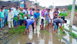 उत्तराखंड : जब गांव वाले खेत छोड़ सड़क पर रोपने लगे धान, ऐसा क्यों किया पढ़िए