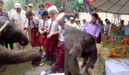 उत्तराखंड : कार्बेट पार्क में मनाया गया हाथी के बच्चे का पहला जन्मदिन, विशेष केक भी था तैयार
