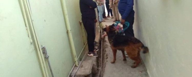उत्तराखंड : पहाड़ में सनसनीखेज हत्याकांड, महिला का गला घोंटकर गली में फेंका उत्तराखंड : पहाड़ में सनसनीखेज हत्याकांड, महिला का गला घोंटकर गली में फेंका