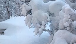 उत्तराखंड में बर्फबारी शुरू, ऊंचाई वाले इलाकों सहित चारों धाम में बर्फबारी