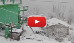 Video उत्तराखंड की ऊंची पहाड़ियों पर बर्फबारी शुरू, मुनस्यारी से आया ये खूबसूरत वीडियो देखें