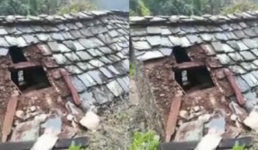 यहां छत तोड़कर पालतू जानवरों को खा रहा एक अजीब जानवर, दहशत में आ गए हैं गांव वाले