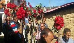 Uttarakhand जौनसार बावर : बुरांस के फूलों को मंदिरों में चढ़ाकर मनाया बिस्सू फूलियात