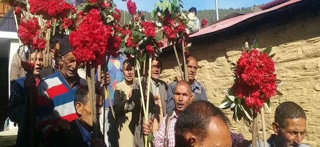 Uttarakhand जौनसार बावर : बुरांस के फूलों को मंदिरों में चढ़ाकर मनाया बिस्सू फूलियात Uttarakhand जौनसार बावर : बुरांस के फूलों को मंदिरों में चढ़ाकर मनाया बिस्सू फूलियात