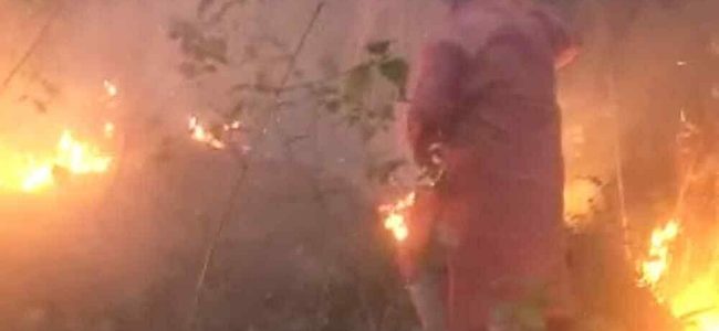 Uttarakhand  वन मंत्री हरक सिंह, खुद पहुंच गए जंगल की आग बुझाने
