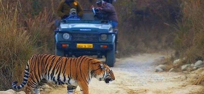 Uttarakhand समस्त संरक्षित क्षेत्रों में पर्यटन और शोध गतिविधियां 15 मई तक बंद, बढ़ते संक्रमण के चलते लिया गया फैसला Uttarakhand समस्त संरक्षित क्षेत्रों में पर्यटन और शोध गतिविधियां 15 मई तक बंद, बढ़ते संक्रमण के चलते लिया गया फैसला