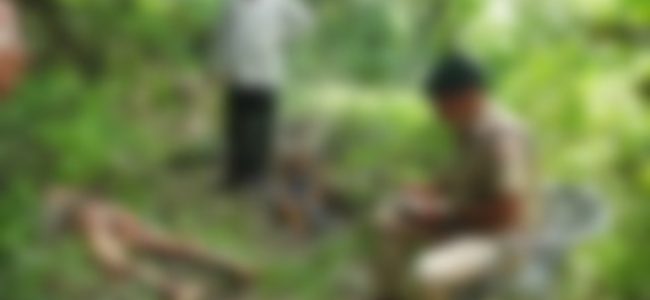 Uttarakhand पौड़ी में तेंदुए ने युवक पर किया हमला, जंगल से शव बरामद Uttarakhand पौड़ी में तेंदुए ने युवक पर किया हमला, जंगल से शव बरामद
