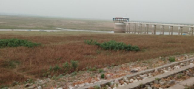 Uttarakhand ऐतिहासिक नानकसागर डैम लगभग सूख गया, पर्यटक, किसान और मछुआरे हुए मायूस Uttarakhand ऐतिहासिक नानकसागर डैम लगभग सूख गया, पर्यटक, किसान और मछुआरे हुए मायूस