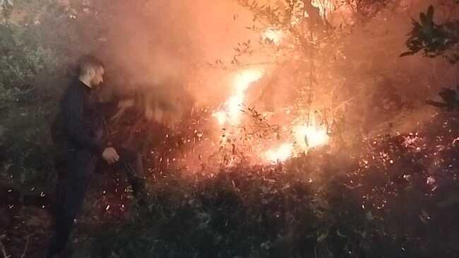 Uttarakhand यहां डीएम ने दिखाई जांबाजी, खुद पहुंचे जंगल की आग बुझाने, तस्वीरों में देखिए आग का तांडव