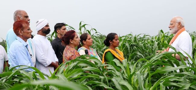 पीएम मोदी ने फसलों की 109 किस्मों को जारी किया, उच्च उपज देने वाली, जलवायु अनुकूल और जैव-प्रतिबलित हैं ये किस्में, किसानों और वैज्ञानिकों से बातचीत भी की पीएम मोदी ने फसलों की 109 किस्मों को जारी किया, उच्च उपज देने वाली, जलवायु अनुकूल और जैव-प्रतिबलित हैं ये किस्में, किसानों और वैज्ञानिकों से बातचीत भी की