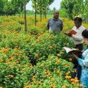 हरिद्वार में कैसे फूलों की खेती ने ‘खुशी स्वयं सहायता समूह’ को बनाया लखपति, पढ़िए सफलता की ये कहानी
