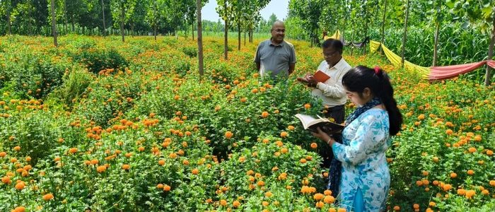 हरिद्वार में कैसे फूलों की खेती ने ‘खुशी स्वयं सहायता समूह’ को बनाया लखपति, पढ़िए सफलता की ये कहानी हरिद्वार में कैसे फूलों की खेती ने ‘खुशी स्वयं सहायता समूह’ को बनाया लखपति, पढ़िए सफलता की ये कहानी