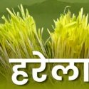 मुख्यमंत्री ने प्रदेशवासियों को हरेला पर्व की दी शुभकामना, कहा हमारे लोक पर्व हमारी सांस्कृतिक विरासत की हैं पहचान