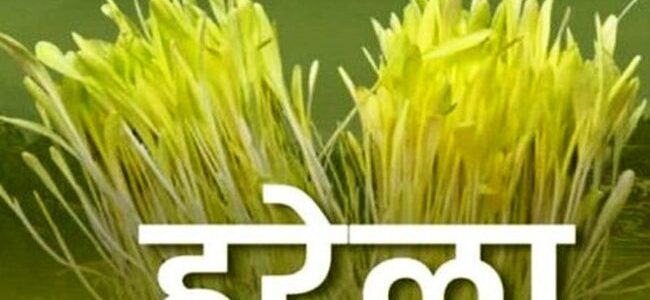 मुख्यमंत्री ने प्रदेशवासियों को हरेला पर्व की दी शुभकामना, कहा हमारे लोक पर्व हमारी सांस्कृतिक विरासत की हैं पहचान मुख्यमंत्री ने प्रदेशवासियों को हरेला पर्व की दी शुभकामना, कहा हमारे लोक पर्व हमारी सांस्कृतिक विरासत की हैं पहचान