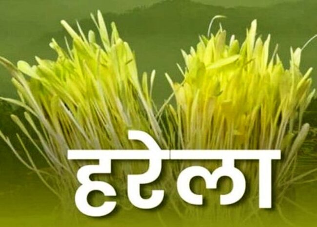मुख्यमंत्री ने प्रदेशवासियों को हरेला पर्व की दी शुभकामना, कहा हमारे लोक पर्व हमारी सांस्कृतिक विरासत की हैं पहचान