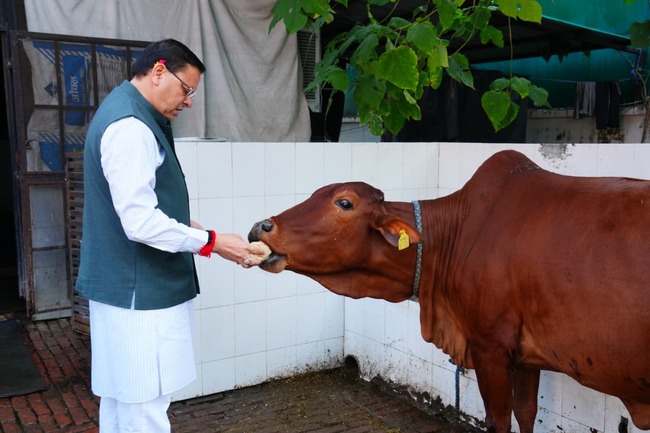 मुख्यमंत्री पुष्कर सिंह धामी ने गोवर्धन पूजा के अवसर पर गौमाता की पूजा-अर्चना कर प्रदेश की खुशहाली, समृद्धि और जन कल्याण की कामना की