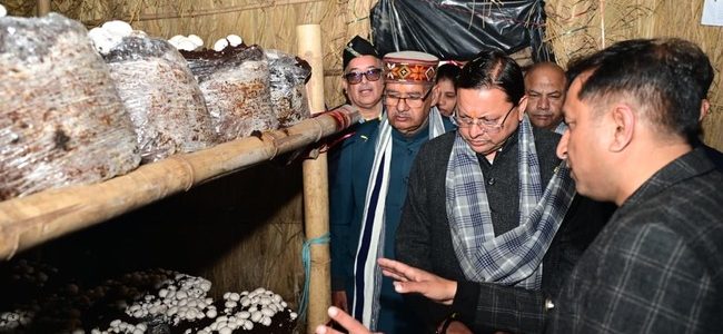 मुख्यमंत्री पुष्कर सिंह धामी ने किया हरिद्वार के बुग्गावाला में ‘मशरूम ग्राम’ का शुभारंभ, किसानों की आय बढ़ाने की नई पहल