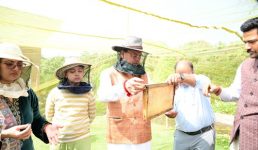 मुख्यमंत्री आवास परिसर में मंगलवार को शहद निष्कासन कार्य किया गया, पहले चरण में 60 किलोग्राम शहद निकाला गया