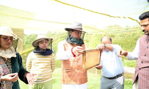 मुख्यमंत्री आवास परिसर में मंगलवार को शहद निष्कासन कार्य किया गया, पहले चरण में 60 किलोग्राम शहद निकाला गया