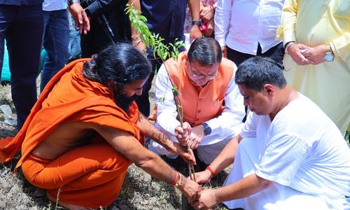 हरेला पर्व पर मालाग्राम पहुंचे मुख्यमंत्री, सघन पौधरोपण कर दिया हरित संरक्षण का संदेश