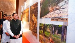 सिंगल-यूज प्लास्टिक के विरुद्ध जनभागीदारी से चलाना होगा प्रभावी अभियान, मुख्यमंत्री ने विश्व बाघ दिवस पर बाघ आधारित चित्र एवं पोस्टकार्ड का किया विमोचन