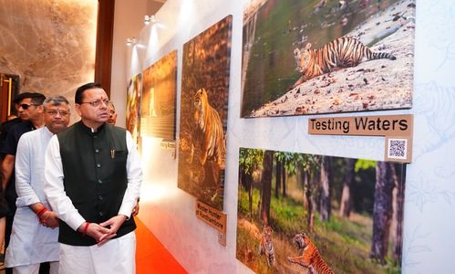 सिंगल-यूज प्लास्टिक के विरुद्ध जनभागीदारी से चलाना होगा प्रभावी अभियान, मुख्यमंत्री ने विश्व बाघ दिवस पर बाघ आधारित चित्र एवं पोस्टकार्ड का किया विमोचन