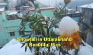 देखिए उत्तराखंड में बर्फबारी की खूबसूरत तस्वीरें, मौसम की पहली भारी बर्फबारी