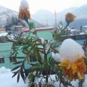 उत्तराखंड में यहां साल के अंत में हो सकती है बर्फबारी, पर्यटक ये खबर जरूर पढ़ें