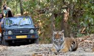 पर्यटन के क्षेत्र में उत्तराखंड को मिला ये बड़ा अवार्ड, पढ़िए कहां ?