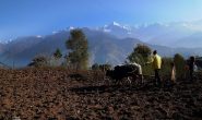 उत्तराखंड में किसानों को छोड़नी पड़ रही है खेतीबाड़ी, ये है इसकी असली वजह