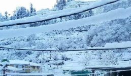 बर्फ से ढक गए उत्तराखंड के ऊंचे पहाड़, मसूरी और धनौल्टी में पहली बर्फबारी से लोग काफी खुश