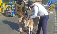 सड़कों पर दुर्घटनाओं को रोकने के लिए उत्तराखंड पुलिस का नायाब तरीका, वाहन चालक भी हैंं खुश