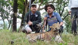 उत्तराखंड-जिम कॉर्बेट को भी पीछे छोड़ चुके लखपत रावत ने फिर लोगों को खतरे से बचाया और दूसरी बड़ी खबरें
