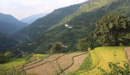 उत्तराखंड में सूखे की आहट, बर्बाद होने लगी हैंं लाखों हेक्टेयर में लगी फसलें