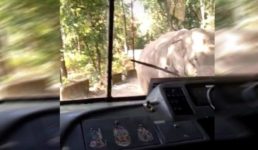 उत्तराखंड – चलती बस पर जंगली हाथी का हमला, 35 लोग सवार थे बस में
