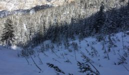 उत्तराखंड – तीन जिलों के लिए भारी बर्फबारी और हिमस्खलन अलर्ट, सावधान रहें इस दौरान