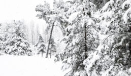 उत्तराखंड : पहाड़ों पर बर्फ, मैदान में बारिश, कड़ाके की ठंड का अहसास