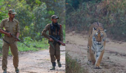 उत्तराखंड : कॉर्बेट नेशनल पार्क में हाई अलर्ट, पार्क से जुड़े कर्मियों की छुट्टियां रद्द