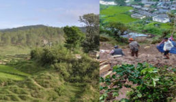 उत्तराखंड : खेत से घास लेकर गया व्यक्ति जिंदा नहीं पहुंचा घर, इलाके में पहली बार हुआ ऐसा