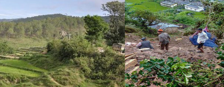 उत्तराखंड : खेत से घास लेकर गया व्यक्ति जिंदा नहीं पहुंचा घर, इलाके में पहली बार हुआ ऐसा उत्तराखंड : खेत से घास लेकर गया व्यक्ति जिंदा नहीं पहुंचा घर, इलाके में पहली बार हुआ ऐसा