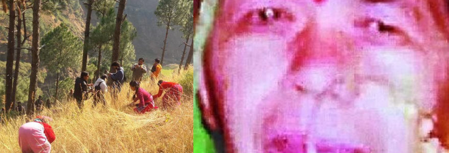 उत्तराखंड : गाड़ी से उतारा जा रहा पत्थर घास काट रही महिला के सर पर लगा, हुई मौत, इलाके में शोक उत्तराखंड : गाड़ी से उतारा जा रहा पत्थर घास काट रही महिला के सर पर लगा, हुई मौत, इलाके में शोक