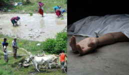 उत्तराखंड : रोपाई के खेत में करंट फैला, महिला की मौत, 2 लोग और 4 बैल झुलसे