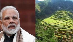 उत्तराखंड : पीएम सम्मान निधि के तहत राज्य में साढ़े पांच लाख किसानों को 167 करोड़ रुपए बंटे