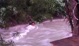 Nainital News शराबी को हिरासत में ले जा रही थी पुलिस, उसने उठाया ऐसा कदम कि मच गया हड़कंप