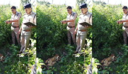 उत्तराखंड : झाड़ियों में नर कंकाल मिलने से सनसनी, मौके से चप्पल, पैंट और कमीज बरामद
