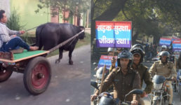 हद कर दी उत्तराखंड पुलिस ने, भैंसा गाड़ी पर भी कर दिया भारी चालान