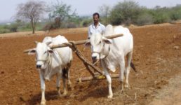 बिना आधार नवंबर तक मिलती रहेगी पीएम किसान सम्मान निधि, केंद्रीय कर्मचारियों का डीए भी बढ़ा